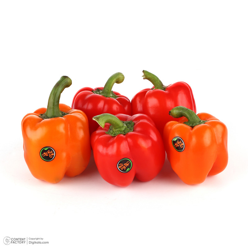  فلفل دلمه رنگی Fresh وزن 500 گرم