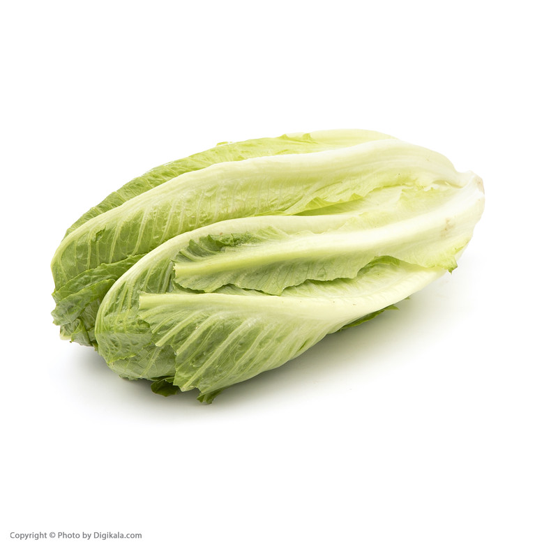 کاهو رسمی Fresh مقدار 1 عدد