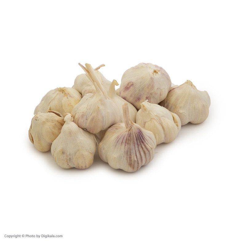  سیر خشک Fresh مقدار 500 گرم