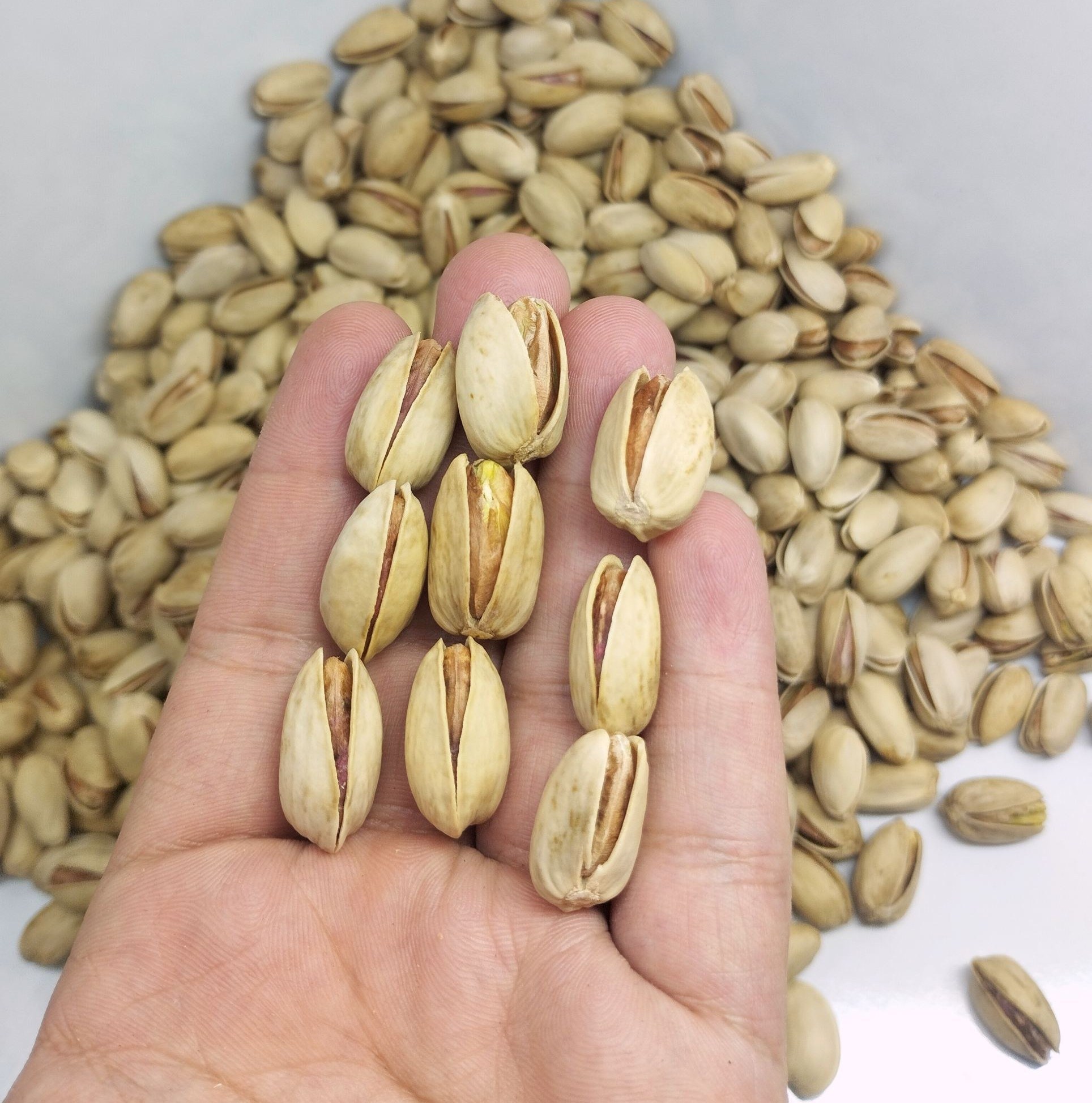 پسته اکبری شور فله مقدار 1000 گرم